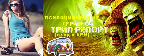 ГАЛЛЮЦИНОГЕННЫЕ ГРИБЫ Арсеньев