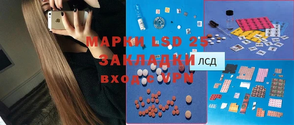 ГАЛЛЮЦИНОГЕННЫЕ ГРИБЫ Арсеньев